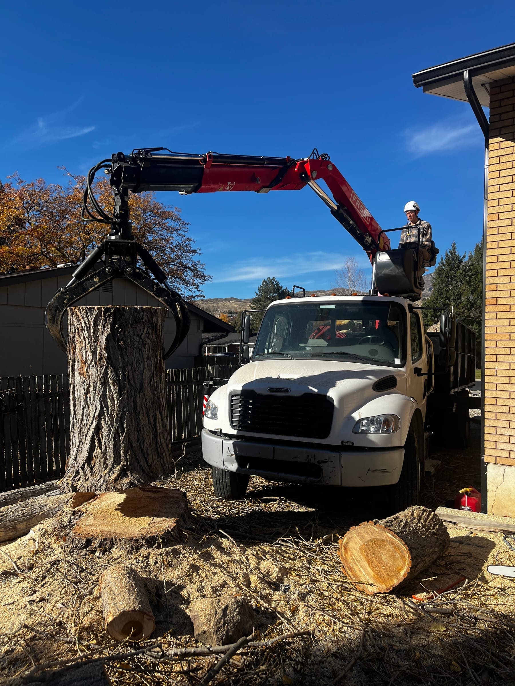 Crane truck with a red grapple arm gripping a tall trunk, with the operator in a white helmet at the controls